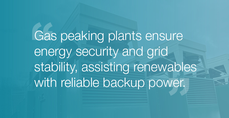 Leasing - Q&A - Terra Firma - Zach - Quote image